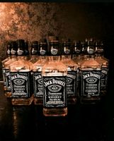 Jack Daniels Flaschen leer 200 stk Niedersachsen - Drage Vorschau