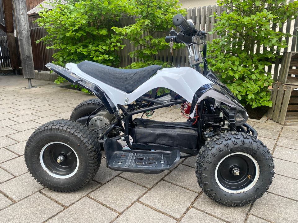 Quad ATV Elektroquad Kinderquad 800W in Winklarn