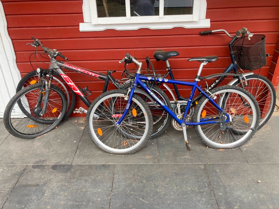 3 Fahrräder, Fahrradkonvolut, 26er Herren & 26er Frauenfahrrad in Bergfelde