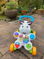 Fisher Price Zebra Laufwagen Spielwagen Baden-Württemberg - Karlsruhe Vorschau