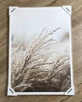 Reinders! Gerahmtes Wandbild - Field Grass / 50x70cm / Neu in OVP Niedersachsen - Wiesmoor Vorschau