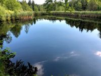 See / Weiher zu pachten Gesucht Bayern - Untermeitingen Vorschau