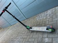 E-scooter „megawheels“ Nordrhein-Westfalen - Rhede Vorschau