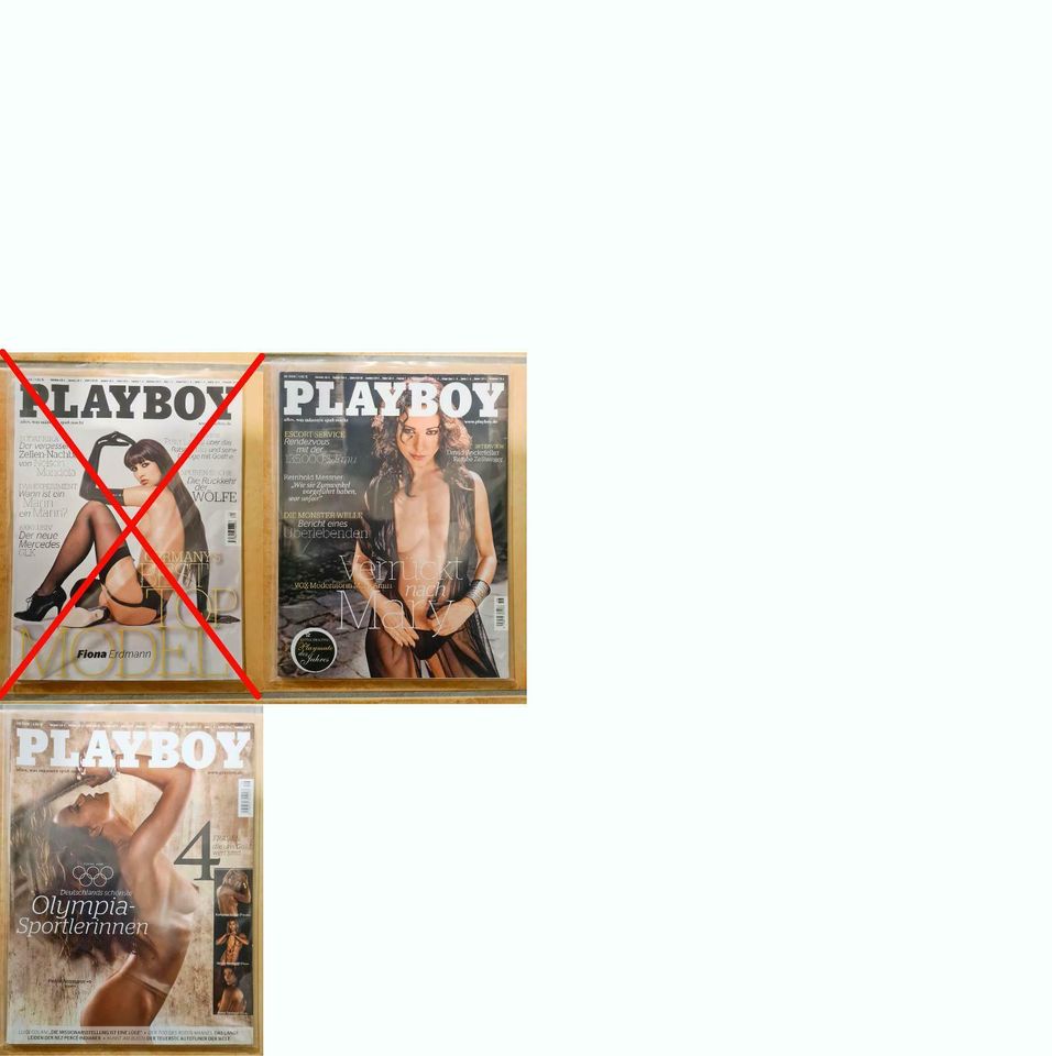 Zeitschrift - Playboy D 2004 bis 2019 (gebraucht) ab 2,- € in Markdorf