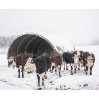 WINDSCHUTZ 6 X 6 M INKL 6 WEIDEPANELS Weidezelt für Tiere Zelt Sachsen - Görlitz Vorschau