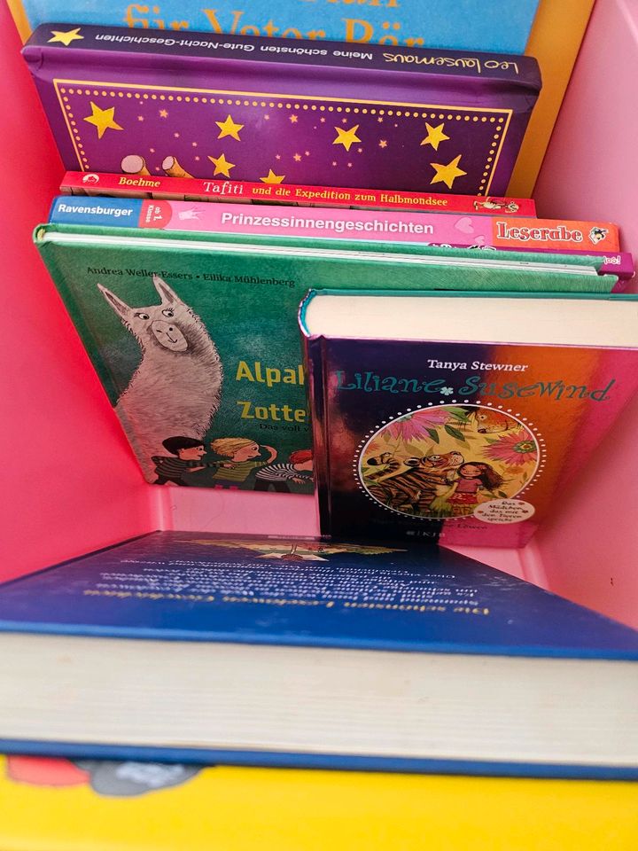 Diverse Kinderbücher in Edermünde