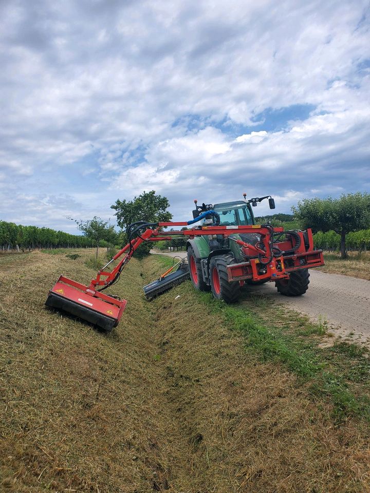 Mulcharbeiten von Gräben und Böschungen, Begleitgrün,Dücker,Fendt in Michelau