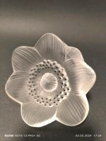 Lalique Anemone Briefbeschwerer Paperweight Kristallglas Nordrhein-Westfalen - Jüchen Vorschau