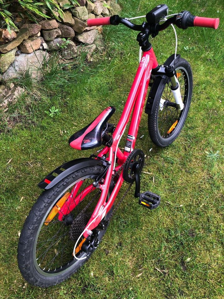 Scott 20 Zoll Mountainbike Fahrrad in Nienburg (Weser)