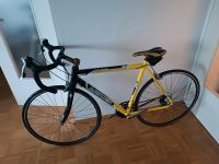 Rennrad Lakes TXR 6006 RH 53/54 Shimano Tiagra Nordrhein-Westfalen - Herdecke Vorschau