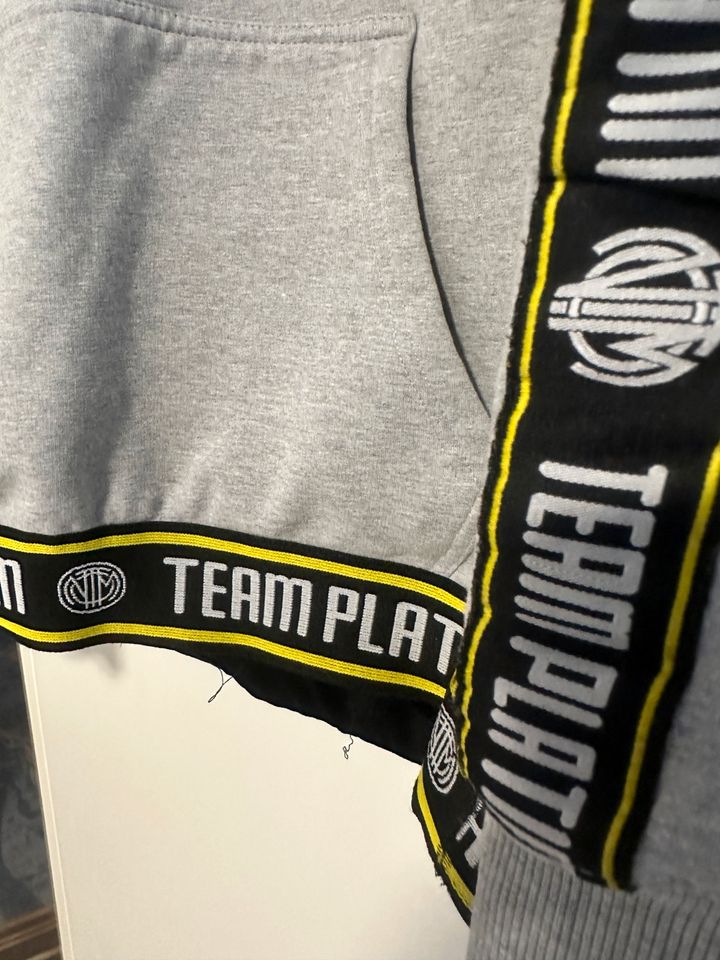 Team Platin Hoodie in Garbsen