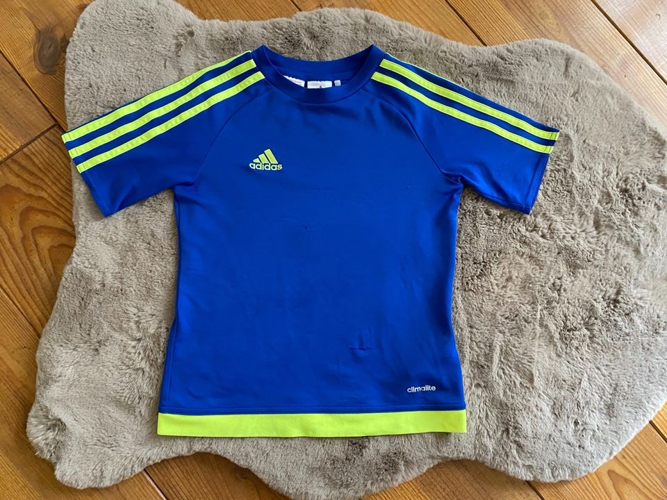 T-Shirt, Funktionsshirt Adidas Gr. 122/128 in Magdeburg