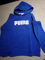 *** Puma Hoodie Gr. 152 *** Nordrhein-Westfalen - Paderborn Vorschau