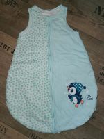 Wattierter Jersey Schlafsack für Neugeborene 70cm Sachsen - Chemnitz Vorschau