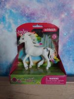 Schleich Bayala Regenbogeneinhorn NEU OVP  Einhorn 70523 Bayern - Leinburg Vorschau