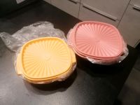 Tupperware sonnen Schüssel neu Rheinland-Pfalz - Donsieders Vorschau