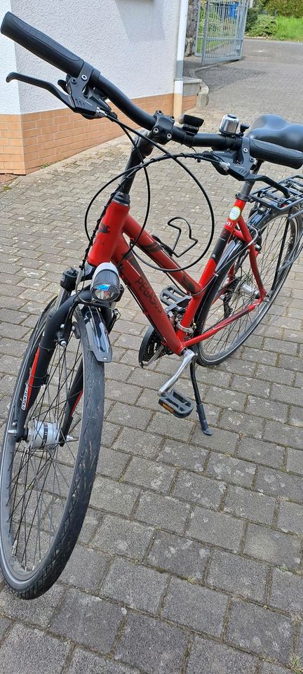 Pegasus Fahrrad rot in Staufenberg