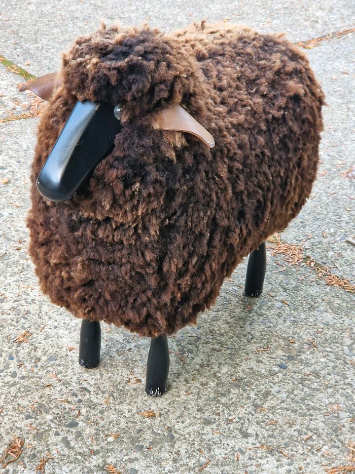 Kleines Schaf, schwarzes Holz, echtes Fell in Nienberge