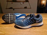 Damen Gr. 39 Nike Zoom Pegasus 32 Turnschuhe, Sportschuhe Hessen - Bensheim Vorschau