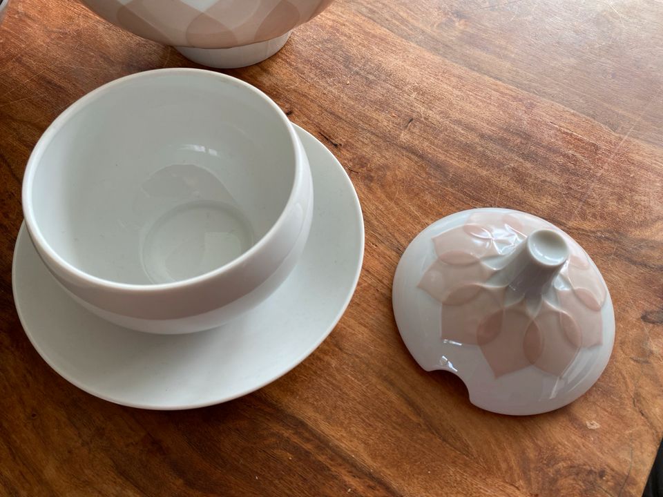 Rosenthal Studio Line Lotus Graved Lachs rosa Service 20-teilig in Pulheim