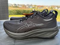Asics Gel Nimbus 26 Neu Gr. 42,5/46/46,5 Laufschuh Herren Rheinland-Pfalz - Wittgert Vorschau