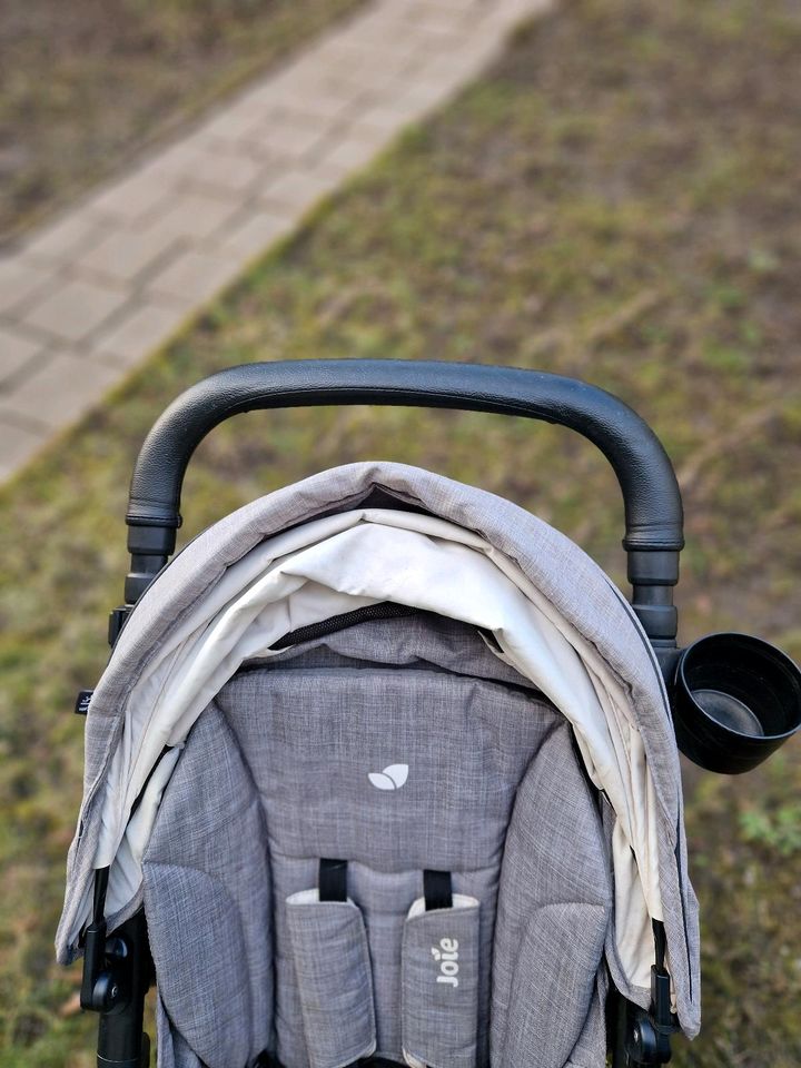 Buggy Joie Sportwagen Kinderwagen (geeignet auch für große Leute) in Leipzig