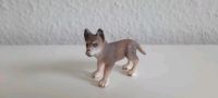 Schleich Tier  junger Wolf Bayern - Baldham Vorschau