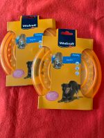 Frisbee, Hundefrisbee, Dog Disc, Orange Brandenburg - Neuruppin Vorschau