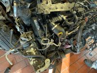 VW T6 CXE Motor 70tkm Bitdi 204PS Brandenburg - Beelitz Vorschau