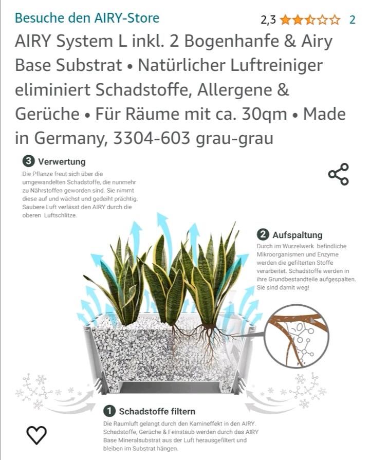 Natürlicher Raumreiniger, Zimmerpflanze in Bad Friedrichshall
