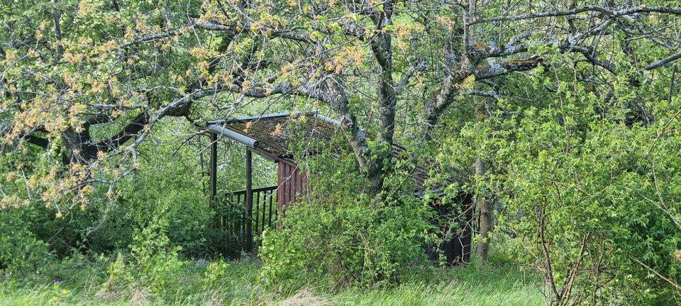 Freizeitgrundstück Garten Wiese mit Hütte in Großbettlingen