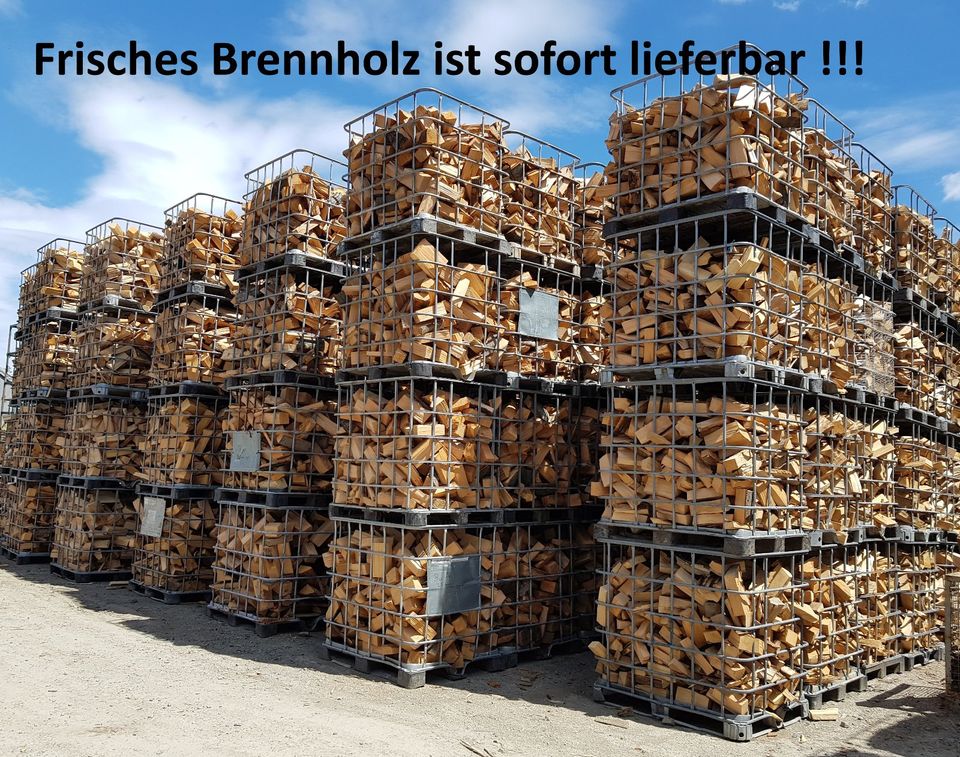 Brennholz frisch - Laubholz-Mix in Merchweiler