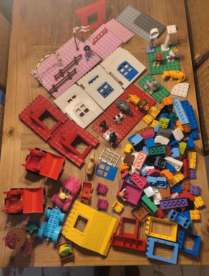 Riesiges Paket an LEGO DUPLO (171 Teile) in Karben