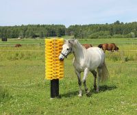Patura Pfahlbürste für Pferde, Rinder Nordrhein-Westfalen - Marsberg Vorschau