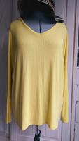 Langarmshirt  Gr 46 Hannover - Ricklingen Vorschau