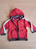 Kleinkinder Sweatjacke Puma Gr. 74 Hessen - Kassel Vorschau