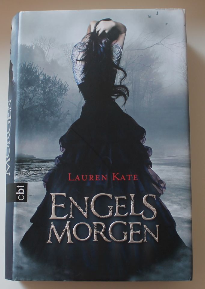Lauren Kate ENGELSMORGEN gebundene Ausgabe romantische Fantasy in Dautphetal