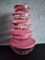 Glas Schalen Schüssel mit pink Deckel 10teilig Sachsen - Neuensalz Vorschau