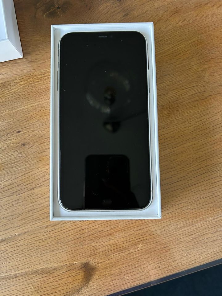 Apple IPhone 11/64 GB in Pirmasens