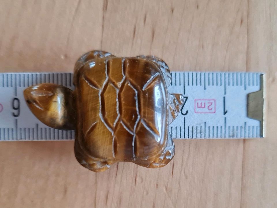 Tigerauge Schildkröte Anhänger gebohrt Mineralien Stein in Pilsting