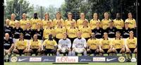 BVB Trikots gesucht Schleswig-Holstein - Trittau Vorschau
