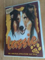 LASSIE / DVD BOX 8 DISC / ALLE 17 SPIELFILME DES TV-KLASSIKERS Bayern - Halfing Vorschau