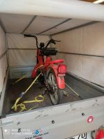 Suche Moped Mofa Motorroller Thüringen - Gotha Vorschau