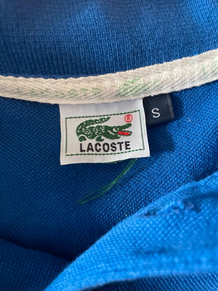 Lacoste Polo in Friedrichshafen