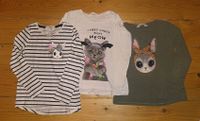 2 Langarmshirts Pullover Hase Glitzer Katze H&M Gr.110/116 Hamburg-Mitte - Hamburg Hamm Vorschau