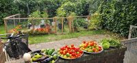 Gemüse Erd Mischung Bio und Torffreie Nordrhein-Westfalen - Kevelaer Vorschau