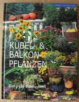 Kübel- & Balkonpflanzen, Das große Standardwerk, Farbige Gartenr. Rheinland-Pfalz - Neustadt an der Weinstraße Vorschau