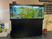 Juwel Rio 450 LED Komplett Aquarium mit Unterschrank SBX Baden-Württemberg - Heidenheim an der Brenz Vorschau