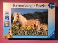 Pferde Puzzle Ravensburger Rheinland-Pfalz - Koblenz Vorschau