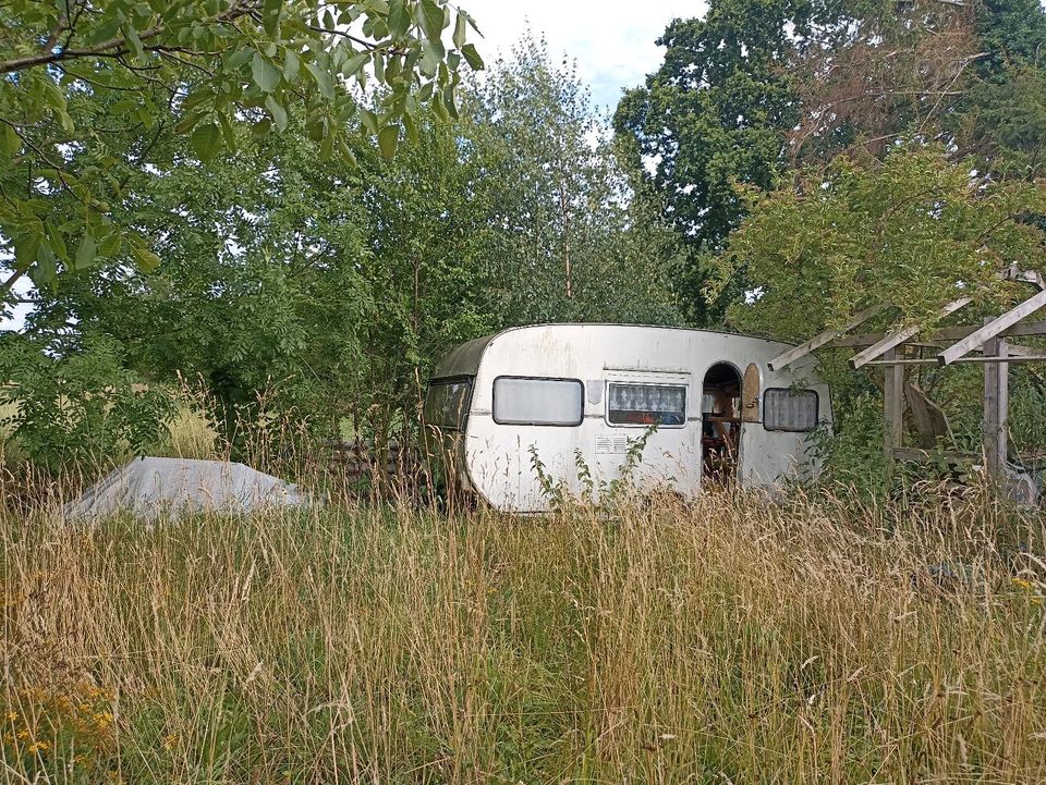 TABBERT Wohnwagen (Ruine) zu verschenken in Soest